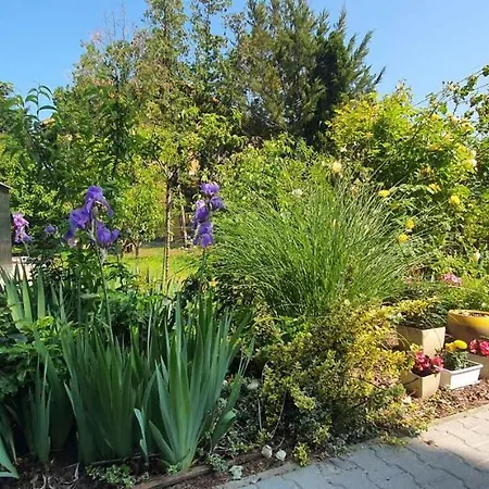 Apartamento In Siofok-sosto/balaton 38178 Balatonszabadi Fürdőtelep