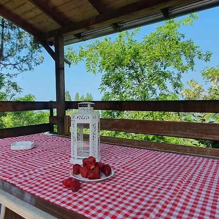 Apartamento In Siofok-sosto/balaton 38178