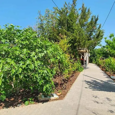 Apartamento In Siofok-sosto/balaton 38178